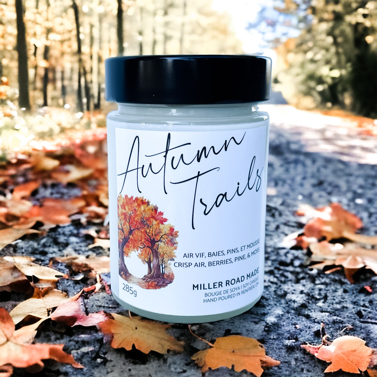 Autumn Trails - Wholesale Candle (3-pk)
