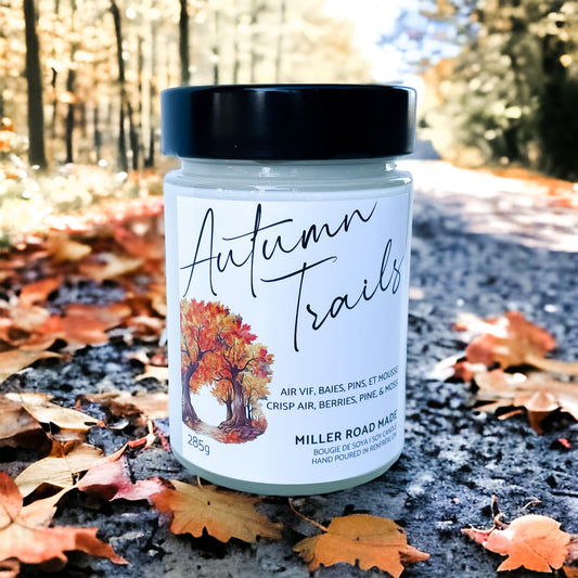 Autumn Trails - Wholesale Candle (3-pk)