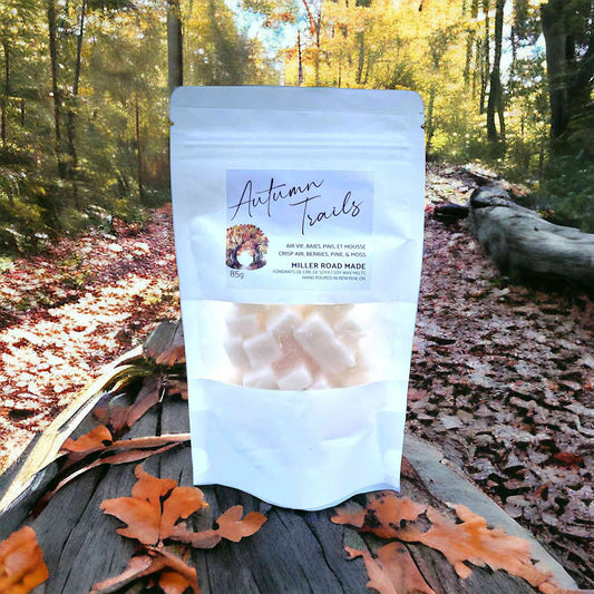 Fresh Autumn outdoor scented wax melts