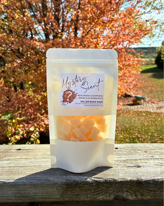 Fall Mystery Scent - Wax Melts