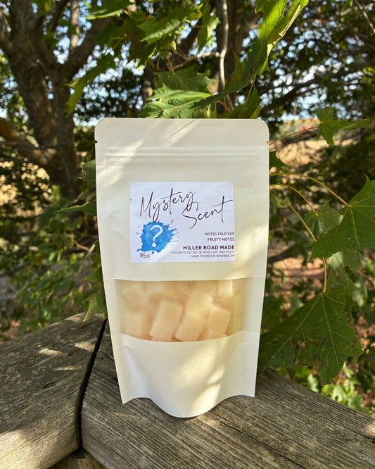 Summer Mystery Scent - Wax Melts