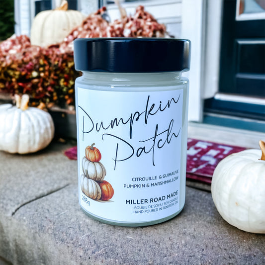 Pumpkin Patch - Wholesale Candle (6-pk)